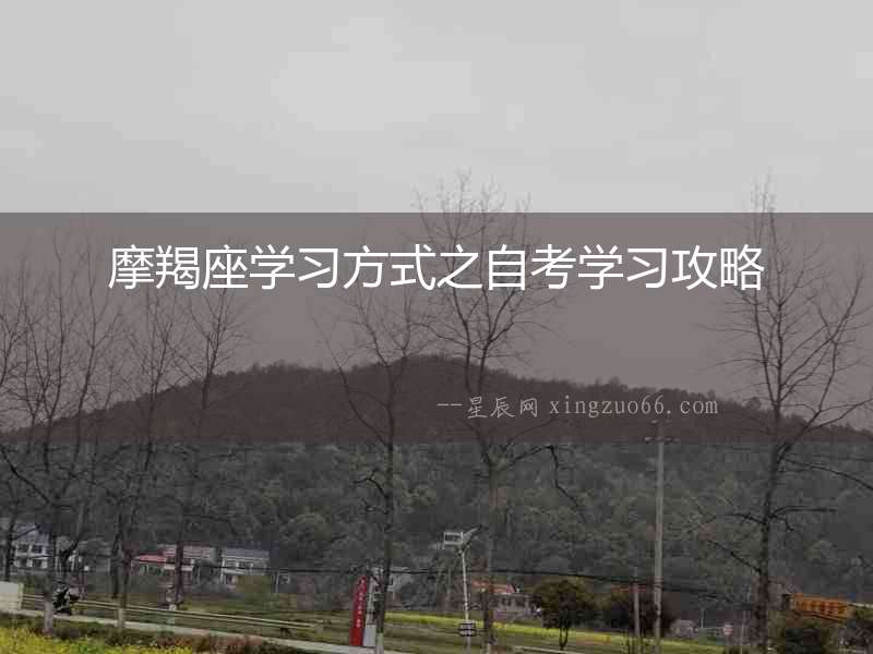 摩羯座學習方式之自考學習攻略