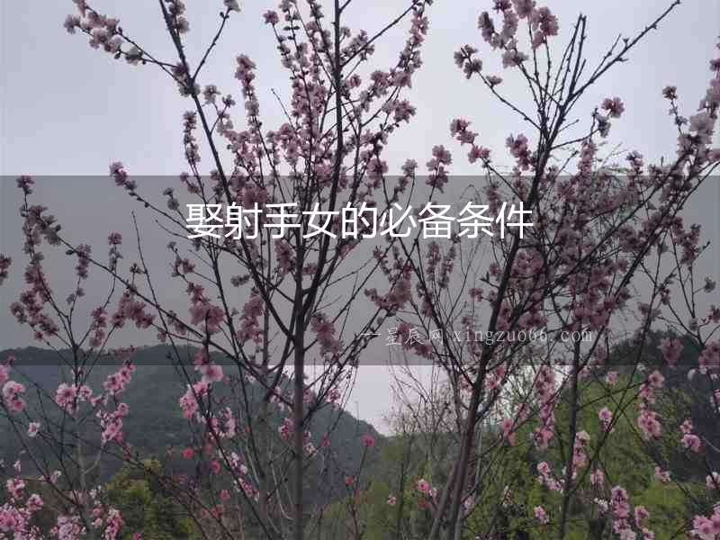 娶射手女的必備條件