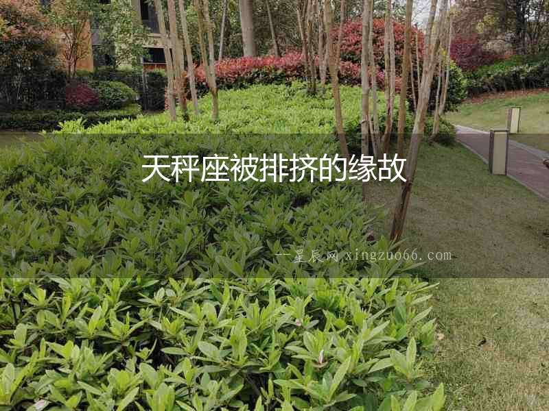 天秤座被排擠的緣故