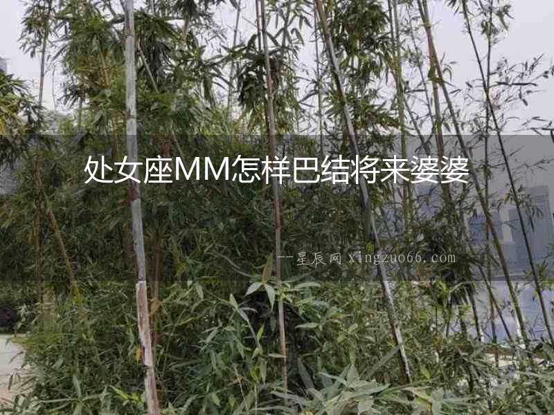 處女座MM怎樣巴結(jié)將來婆婆