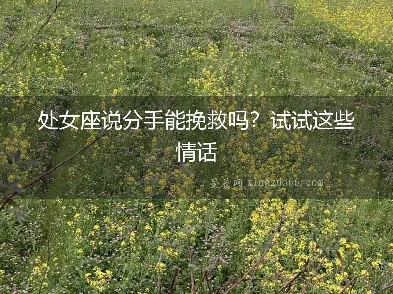 處女座說分手能挽救嗎？試試這些情話