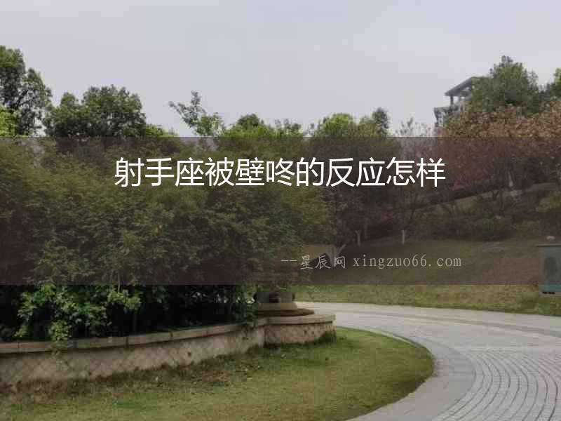 射手座被壁咚的反應(yīng)怎樣