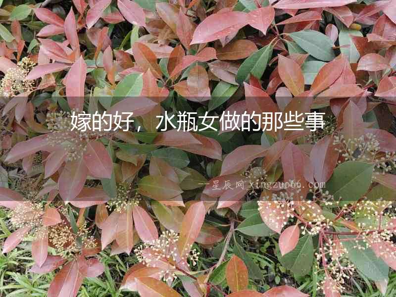 嫁的好，水瓶女做的那些事