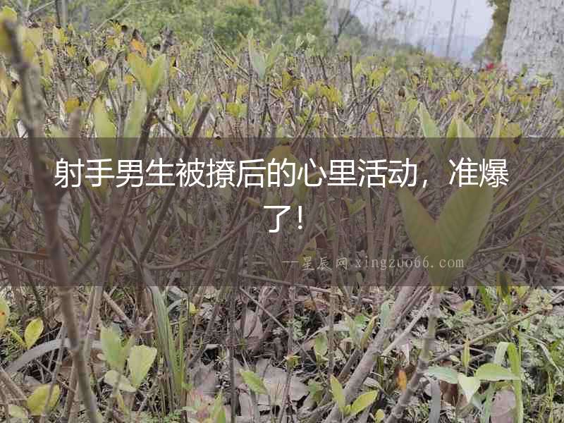 射手男生被撩后的心里活動，準爆了！