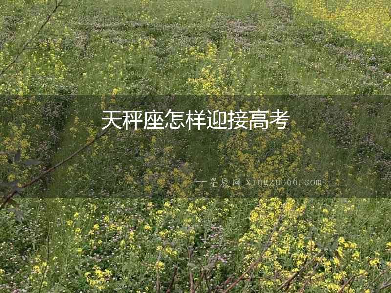 天秤座怎樣迎接高考