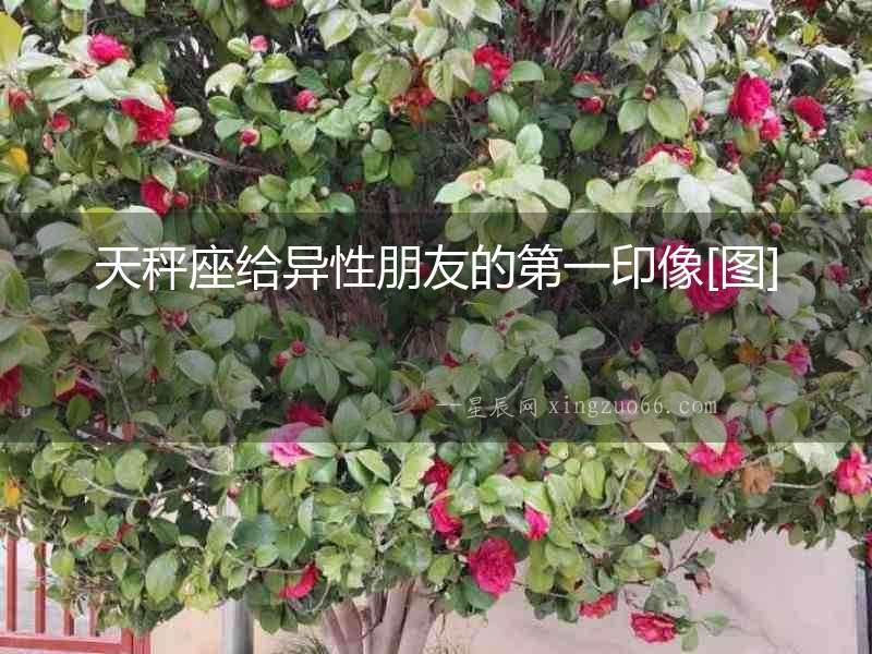 天秤座給異性朋友的第一印像[圖]