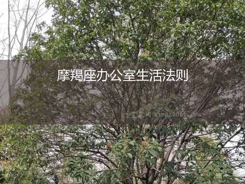 摩羯座辦公室生活法則