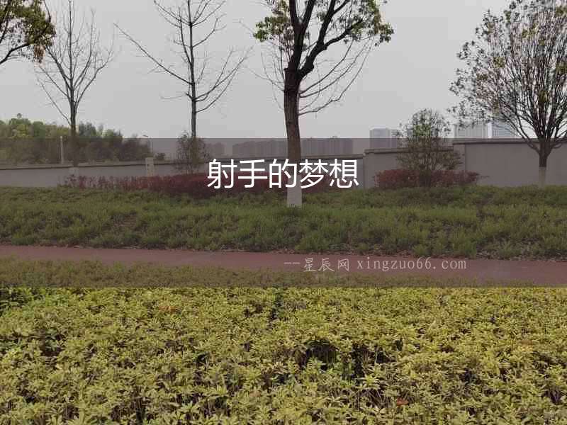 射手的夢想