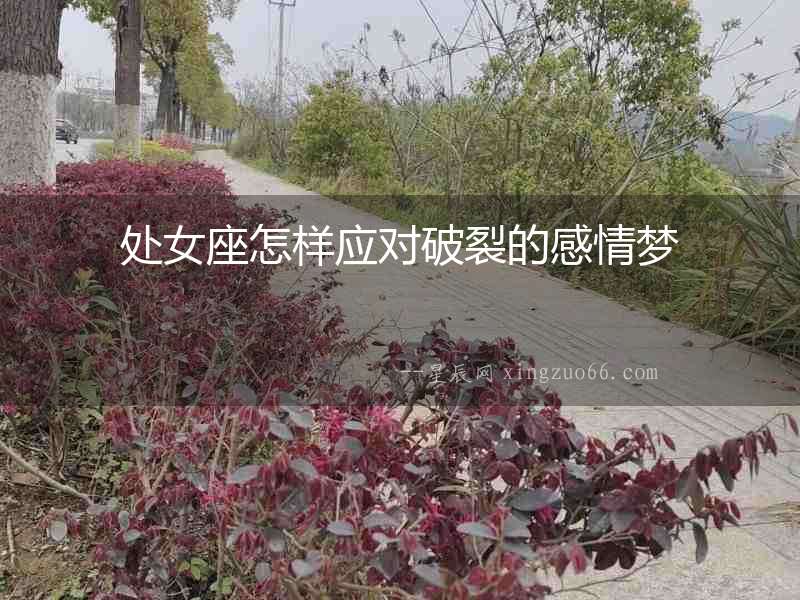 處女座怎樣應對破裂的感情夢