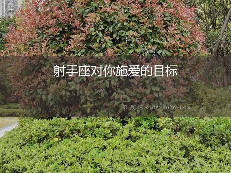 射手座對(duì)你施愛(ài)的目標(biāo)