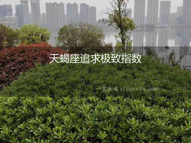 天蝎座追求極致指數(shù)