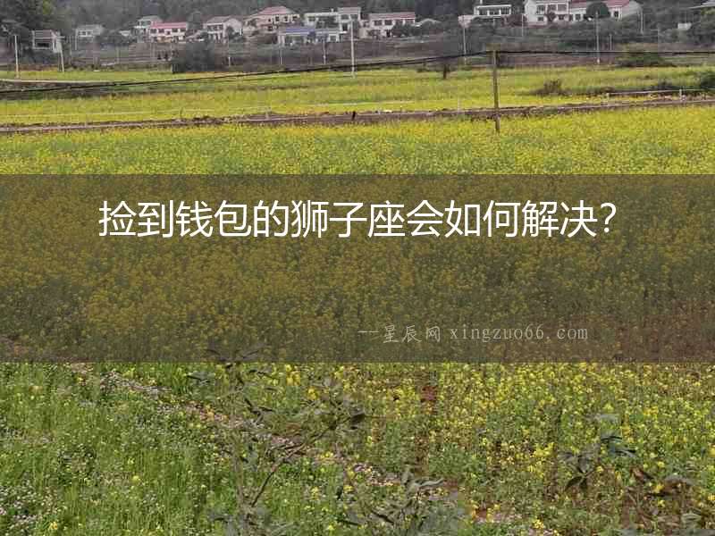撿到錢包的獅子座會如何解決？