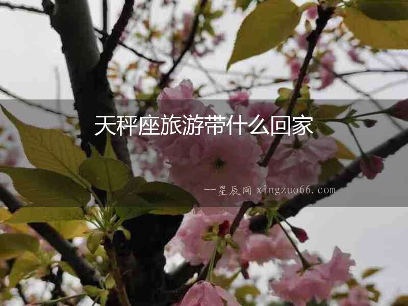 天秤座旅游帶什么回家