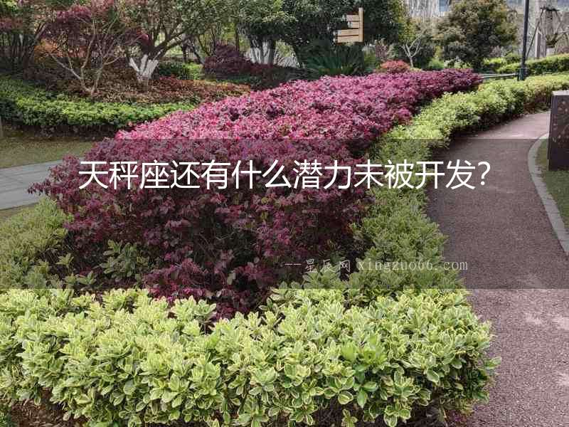 天秤座還有什么潛力未被開發(fā)？