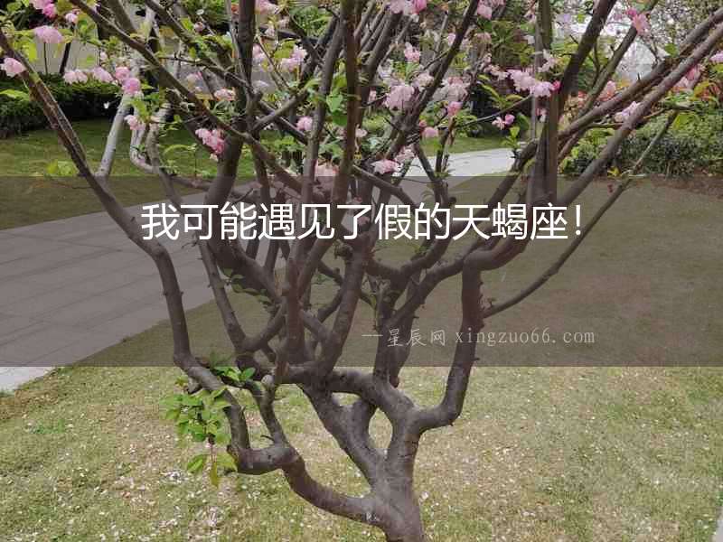 我可能遇見(jiàn)了假的天蝎座！