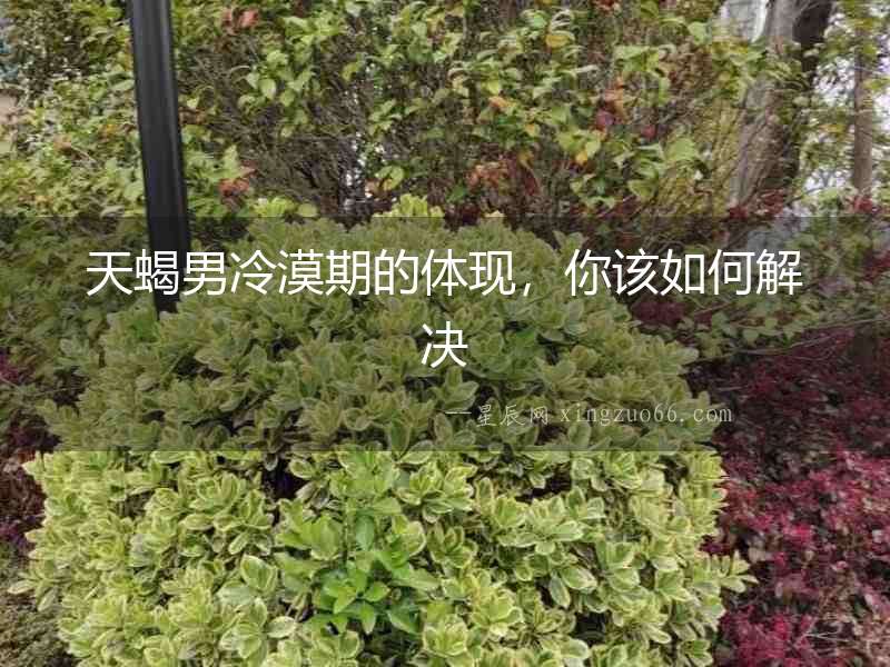 天蝎男冷漠期的體現，你該如何解決