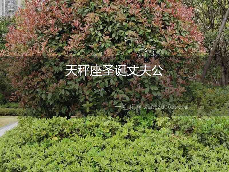 天秤座圣誕丈夫公