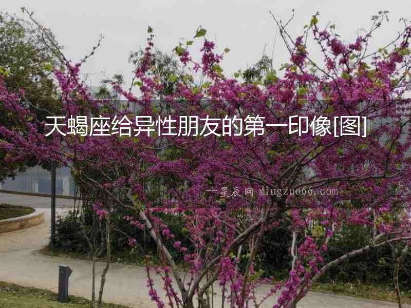 天蝎座給異性朋友的第一印像[圖]