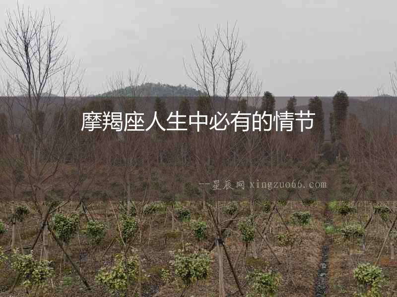 摩羯座人生中必有的情節