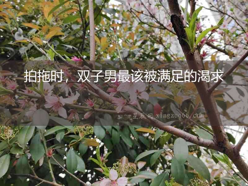 拍拖時，雙子男最該被滿足的渴求