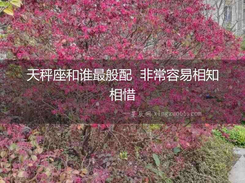 天秤座和誰最般配  非常容易相知相惜