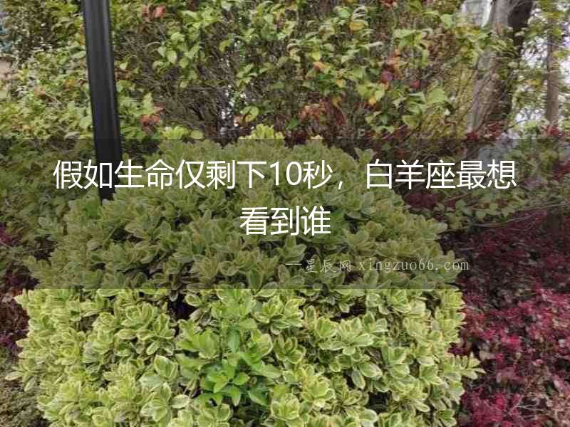 假如生命僅剩下10秒，白羊座最想看到誰