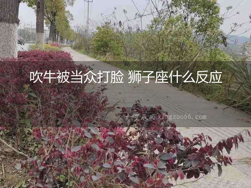 吹牛被當眾打臉 獅子座什么反應