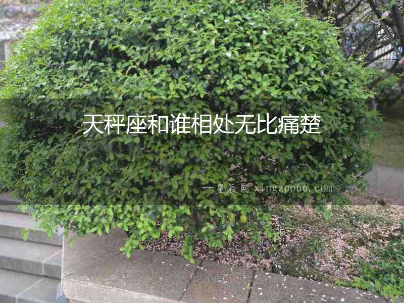 天秤座和誰(shuí)相處無(wú)比痛楚