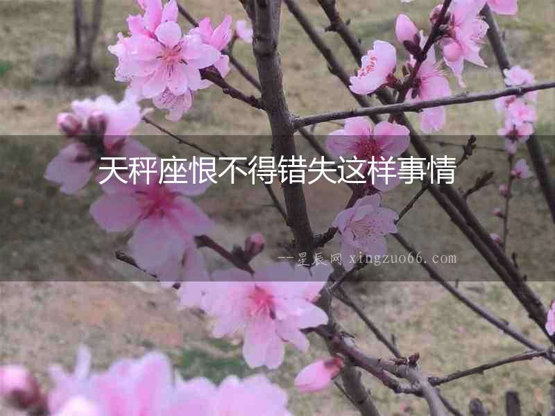 天秤座恨不得錯(cuò)失這樣事情