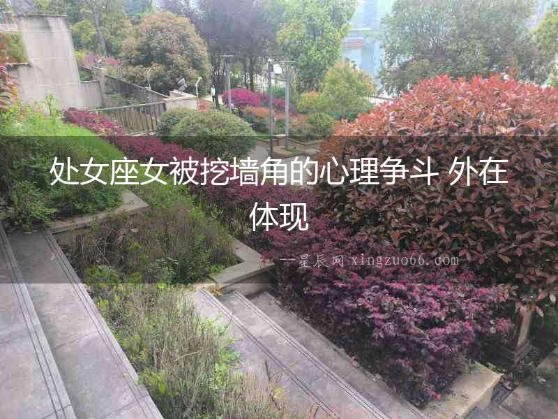 處女座女被挖墻角的心理爭斗 外在體現