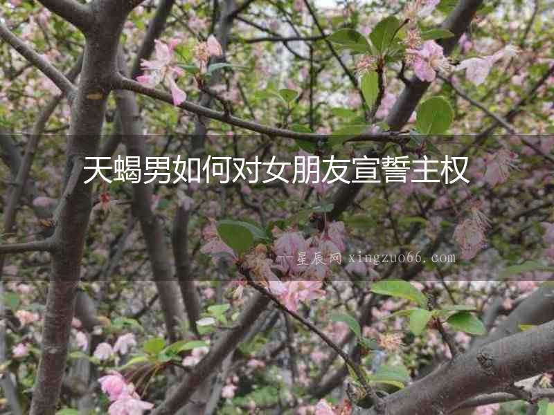 天蝎男如何對(duì)女朋友宣誓主權(quán)