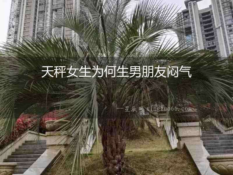 天秤女生為何生男朋友悶氣