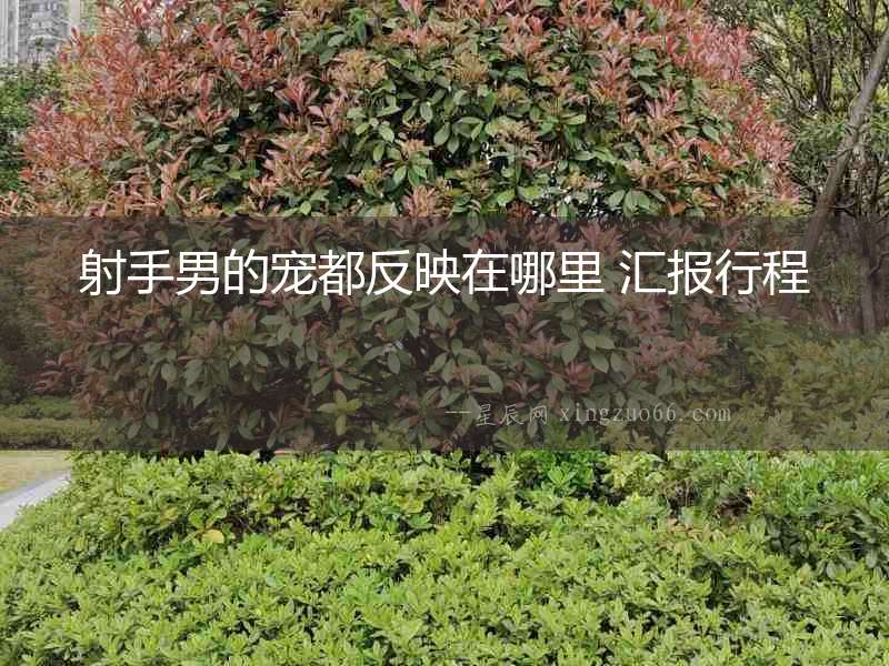 射手男的寵都反映在哪里 匯報行程