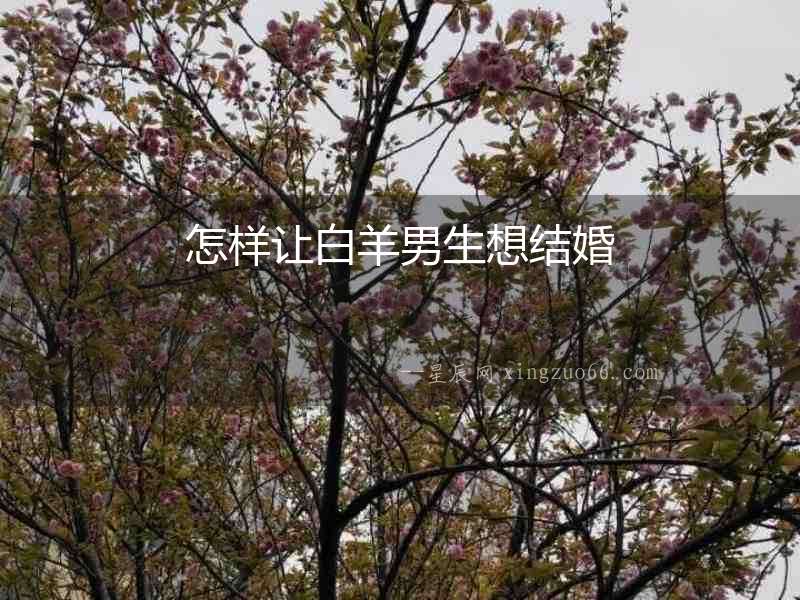 怎樣讓白羊男生想結(jié)婚