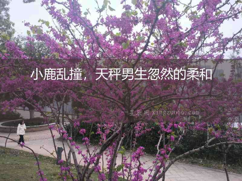 小鹿亂撞，天秤男生忽然的柔和