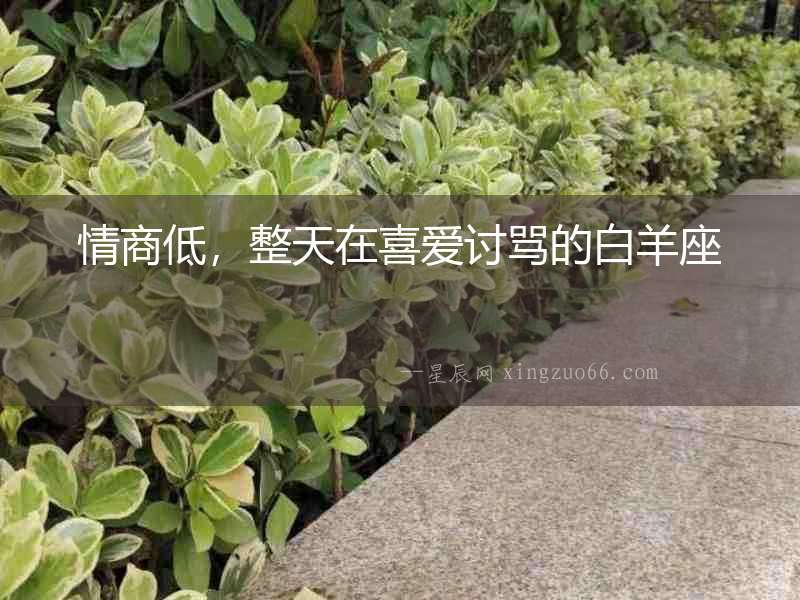情商低，整天在喜愛討罵的白羊座