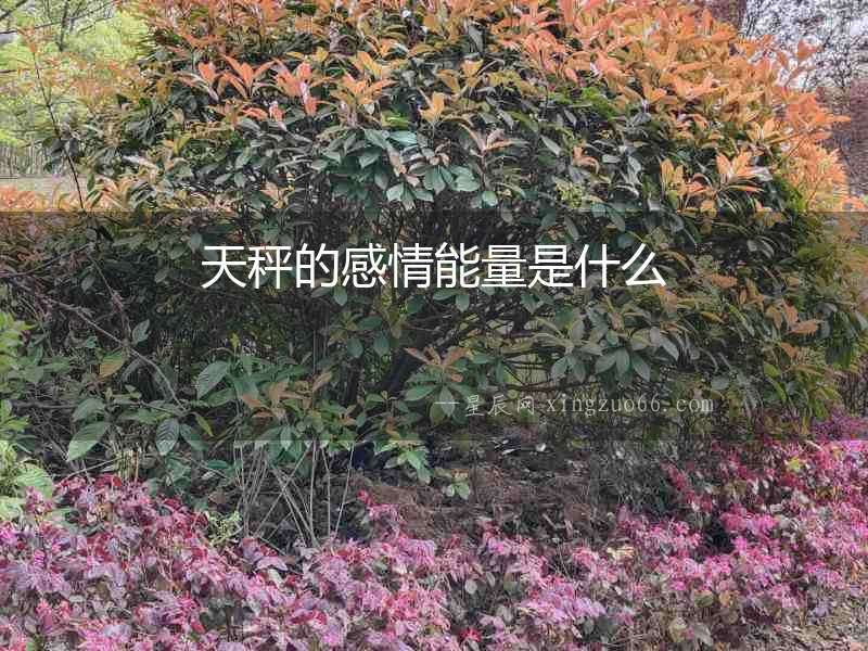 天秤的感情能量是什么