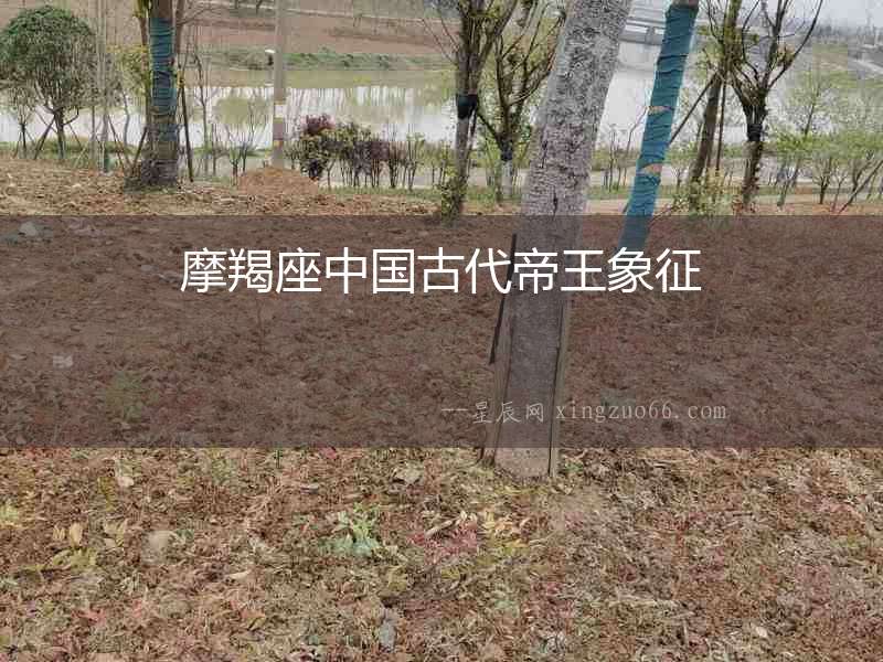摩羯座中國古代帝王象征