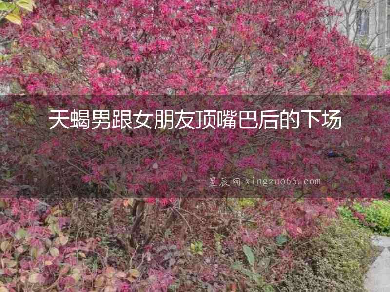 天蝎男跟女朋友頂嘴巴后的下場(chǎng)