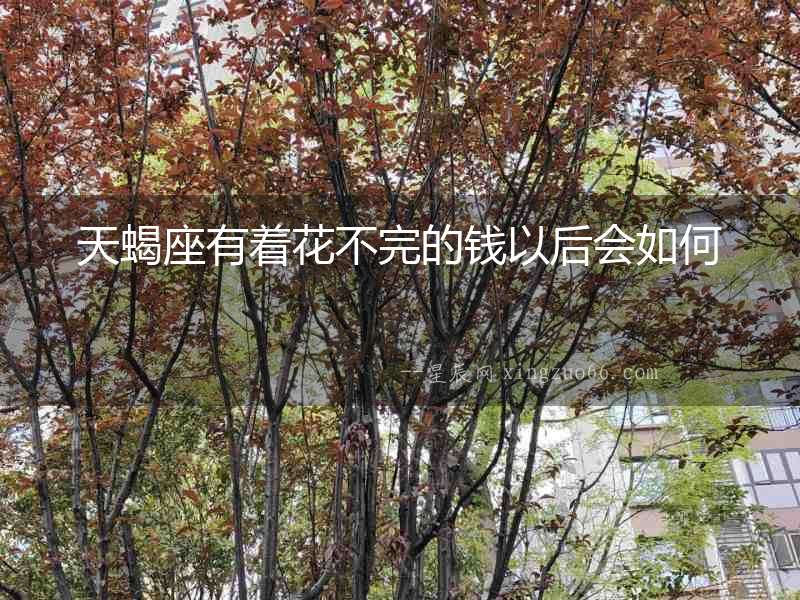 天蝎座有著花不完的錢以后會如何