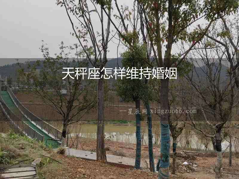 天秤座怎樣維持婚姻