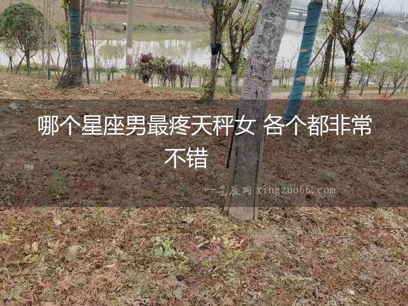 哪個星座男最疼天秤女 各個都非常不錯  　　