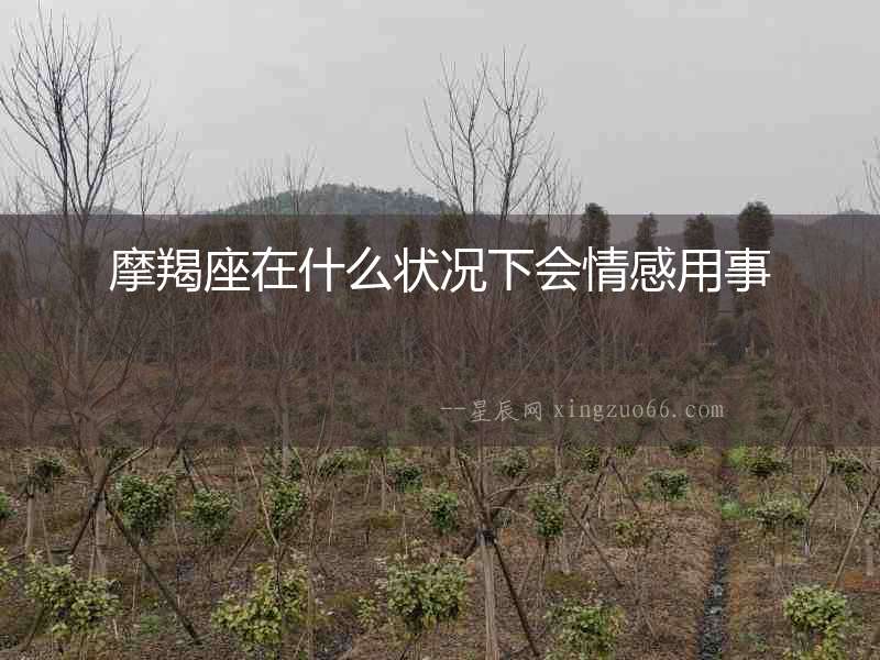 摩羯座在什么狀況下會(huì)情感用事