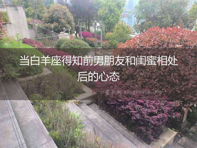 當白羊座得知前男朋友和閨蜜相處后的心態(tài)
