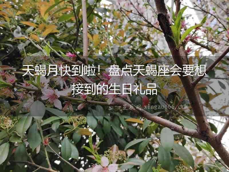 天蝎月快到啦！盤點天蝎座會要想接到的生日禮品