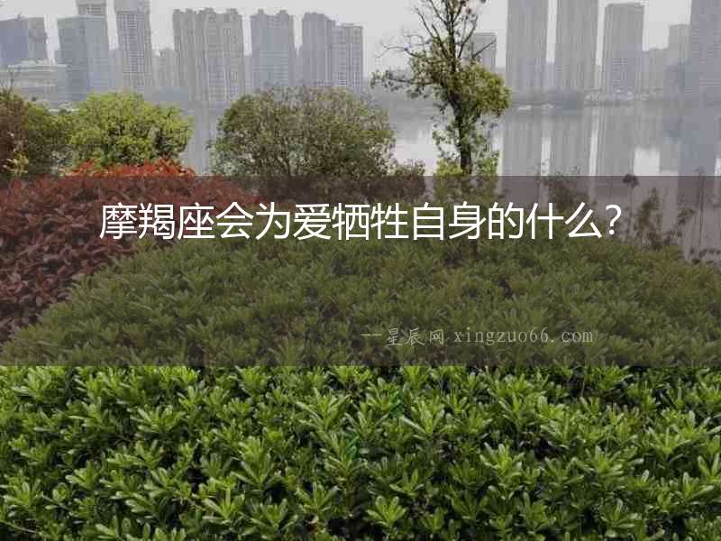 摩羯座會為愛犧牲自身的什么？