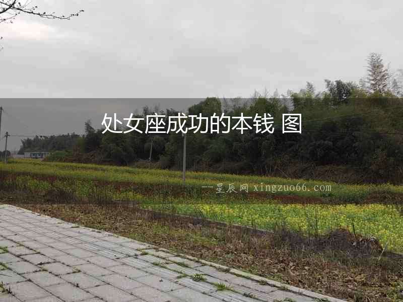 處女座成功的本錢 圖