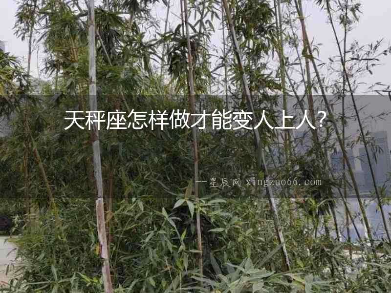 天秤座怎樣做才能變人上人？