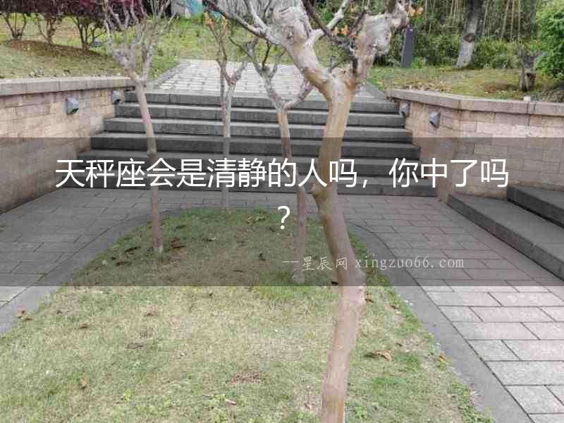 天秤座會是清靜的人嗎，你中了嗎？