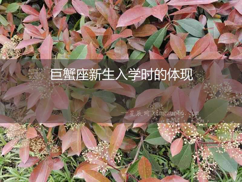 巨蟹座新生入學(xué)時(shí)的體現(xiàn)
